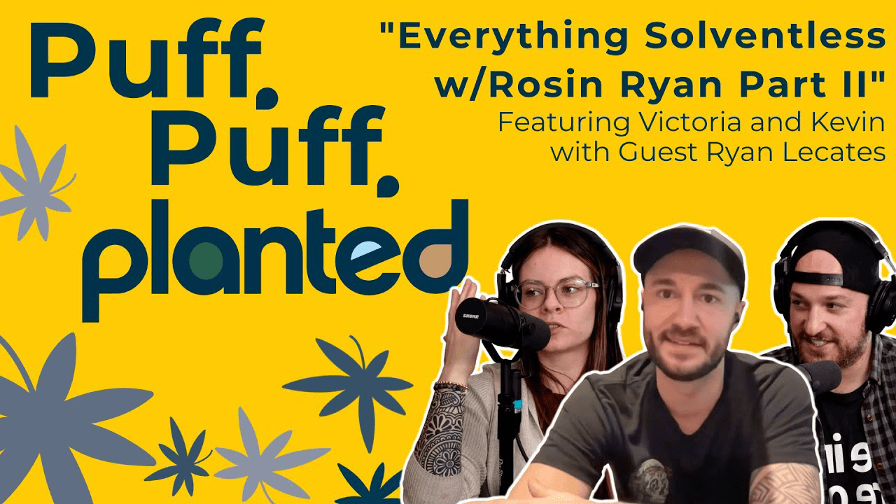 Thumbnail for Everything Solventless w/Rosin Ryan Part II