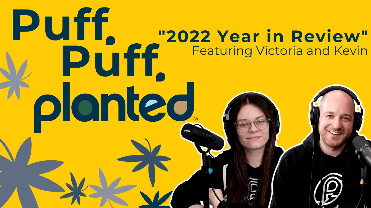 Thumbnail for 2022 Year in Review