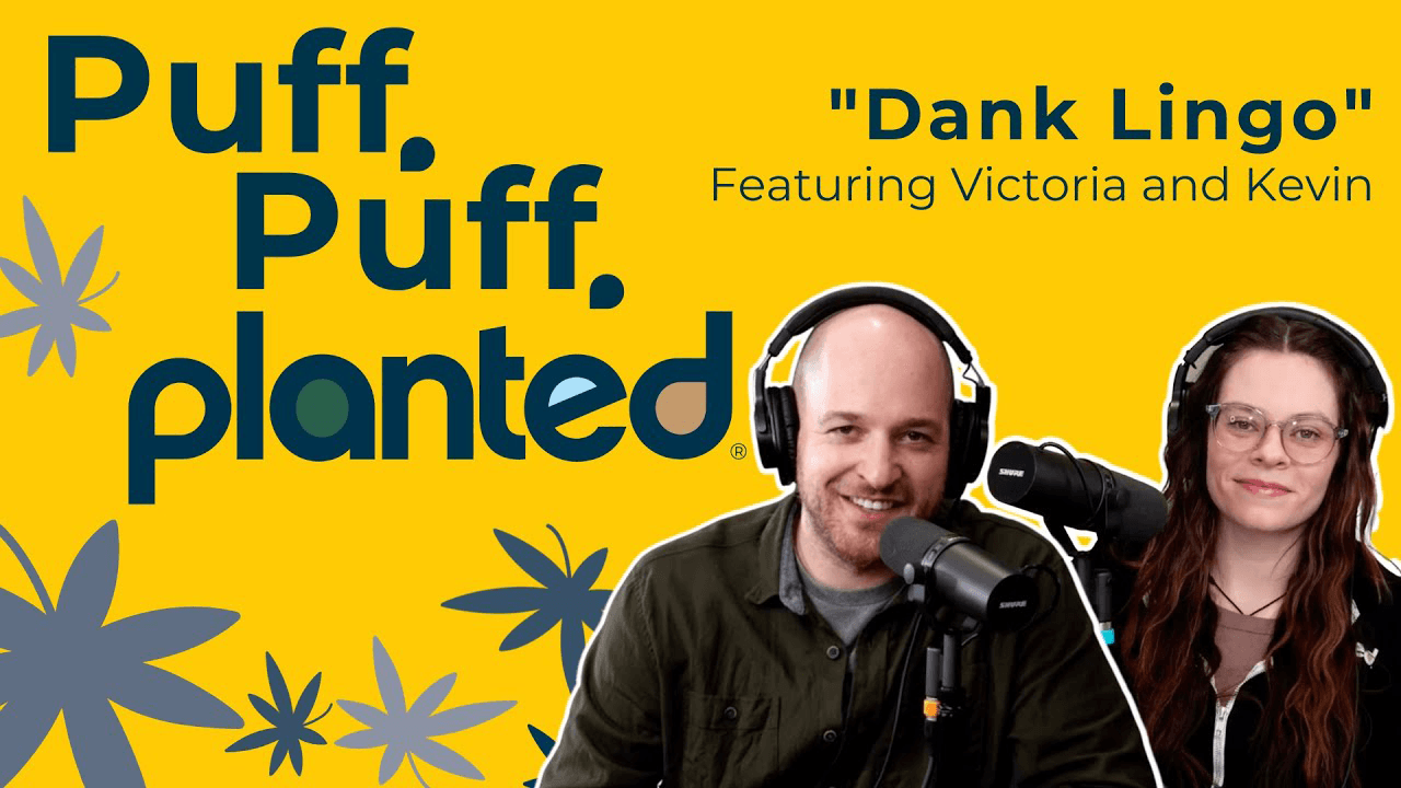 Thumbnail for Dank Lingo