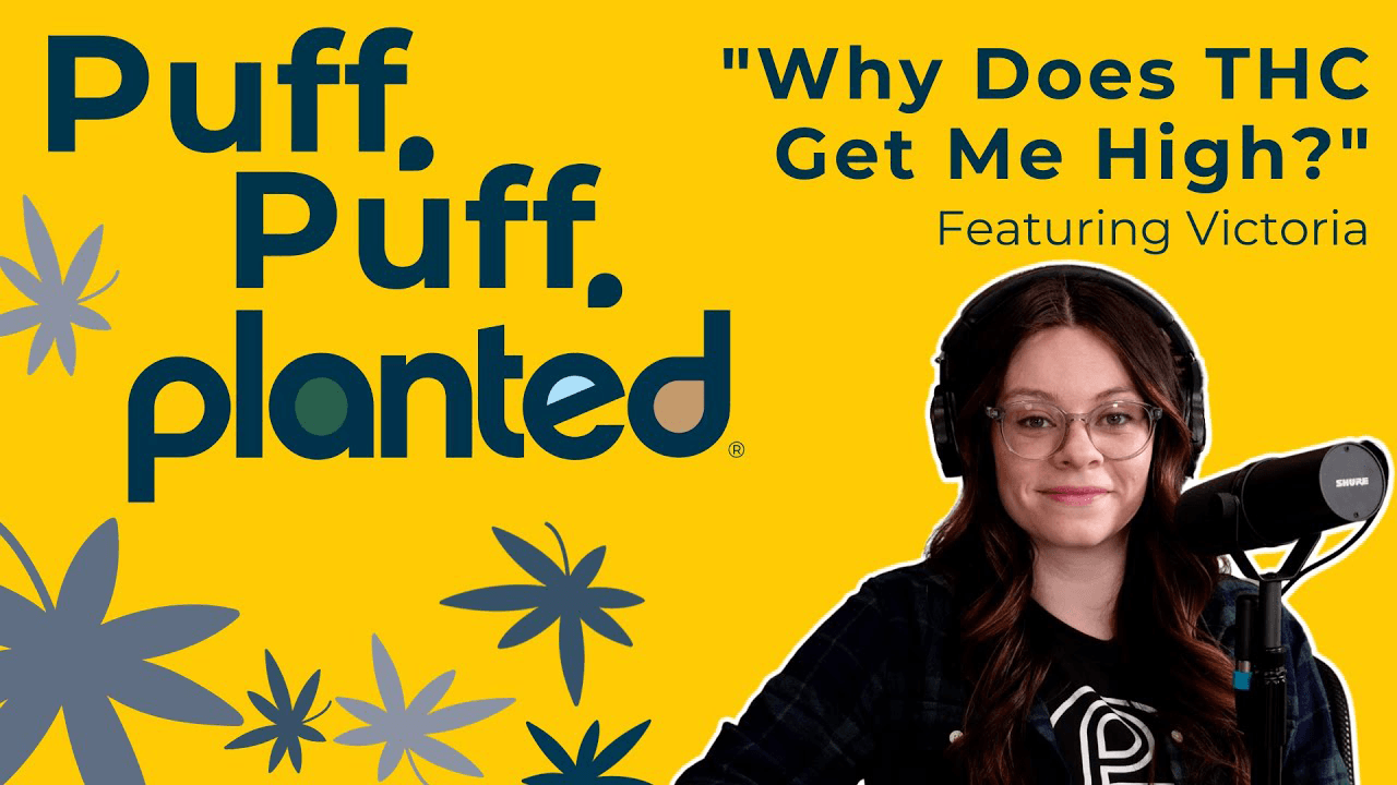 Thumbnail for Why Does THC Get Me High?