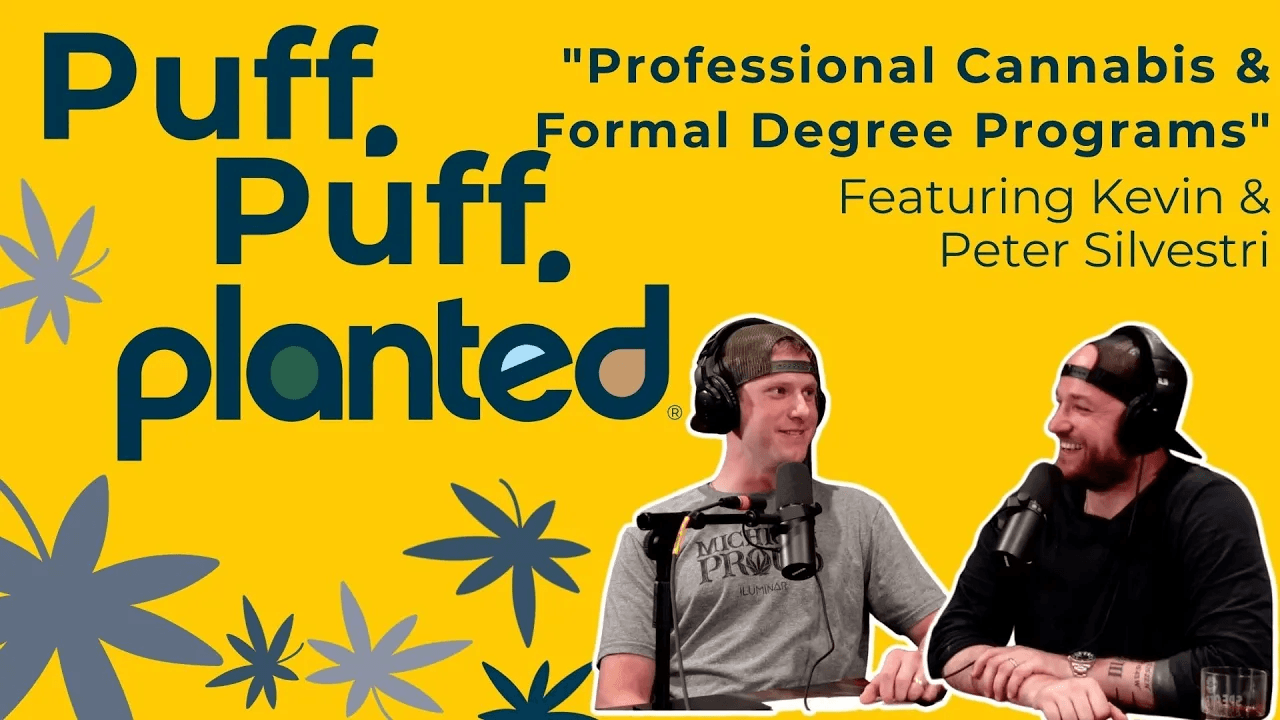Thumbnail for Professional Cannabis & Formal Degree Programs