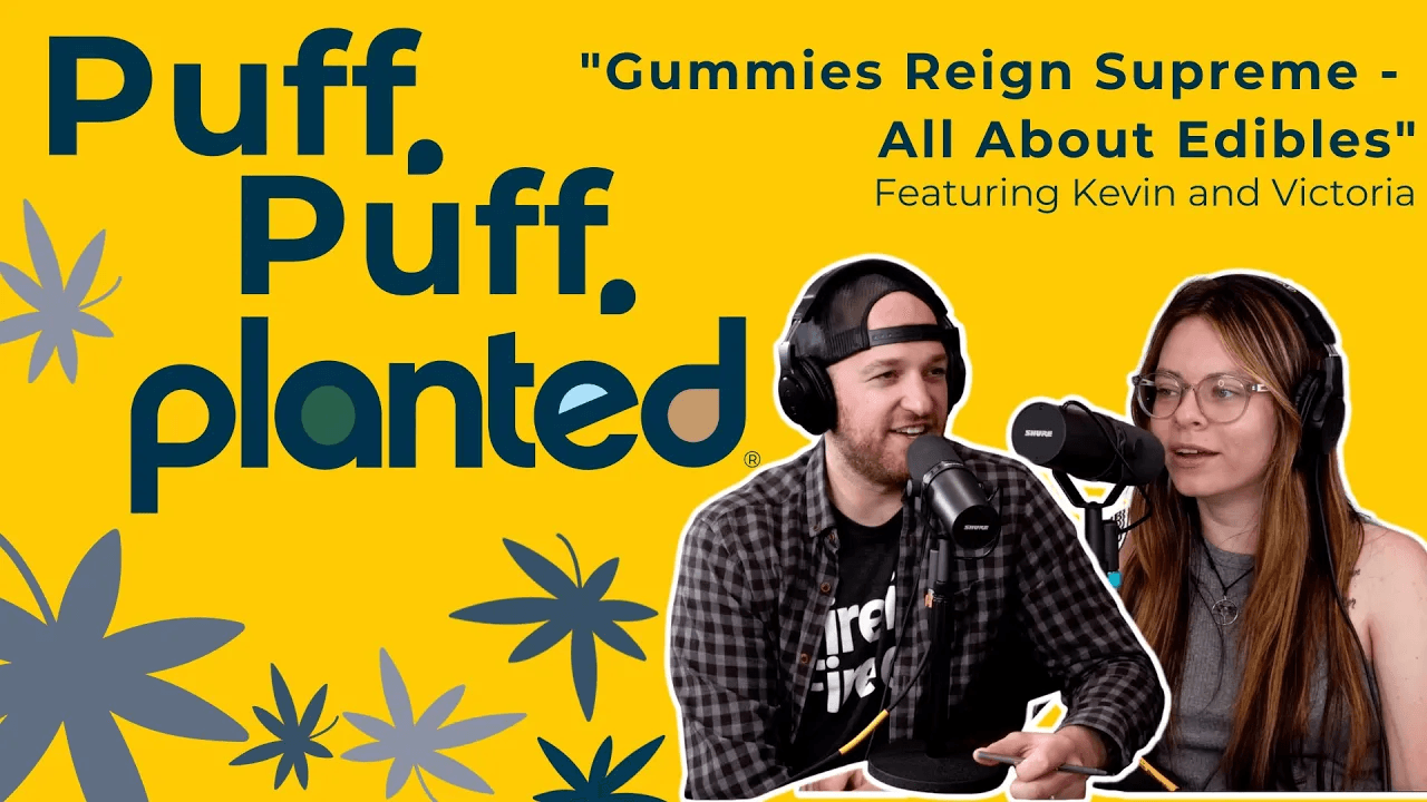 Thumbnail for 'Gummies Reign Supreme' - All About Edibles