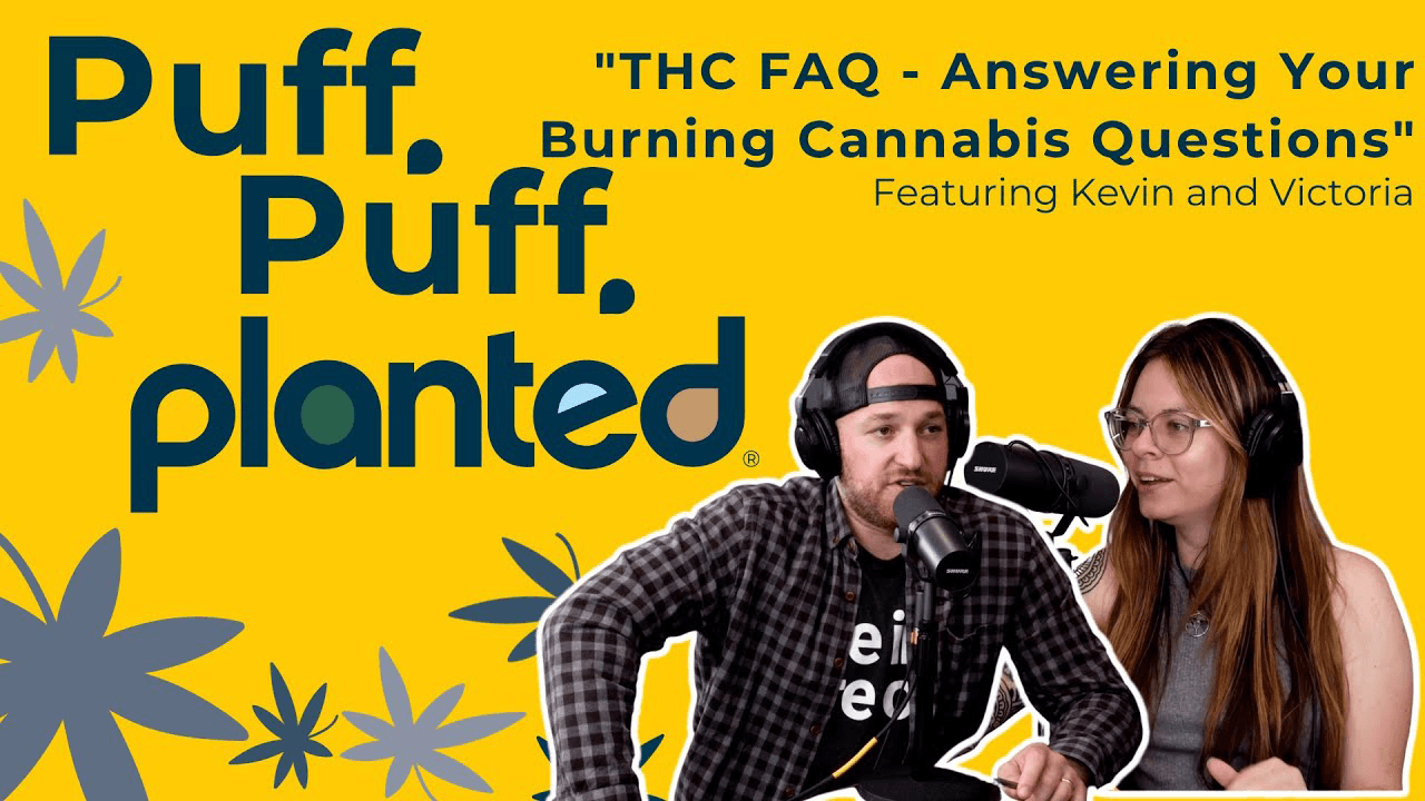 Thumbnail for THC FAQ - Answering Your Burning Cannabis Questions